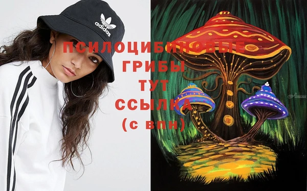COCAINE Богородск
