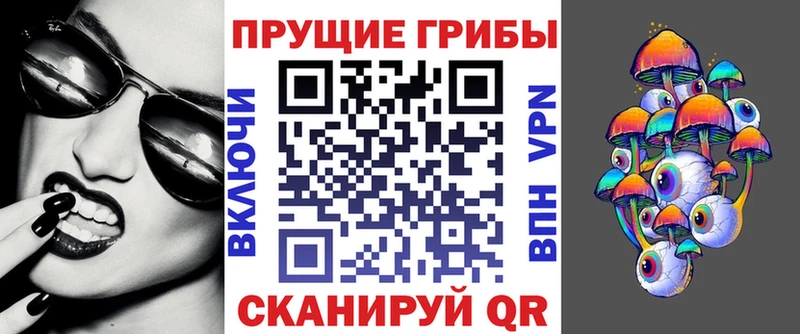 Псилоцибиновые грибы Psilocybine cubensis  KRAKEN ссылка  Химки  даркнет сайт 